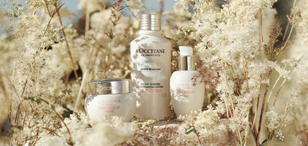 Reine Blanche Collection
